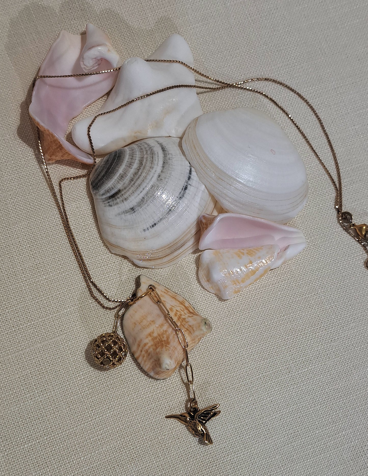 Conch Shell pendant necklace with Vintage gold bead and hummingbird,