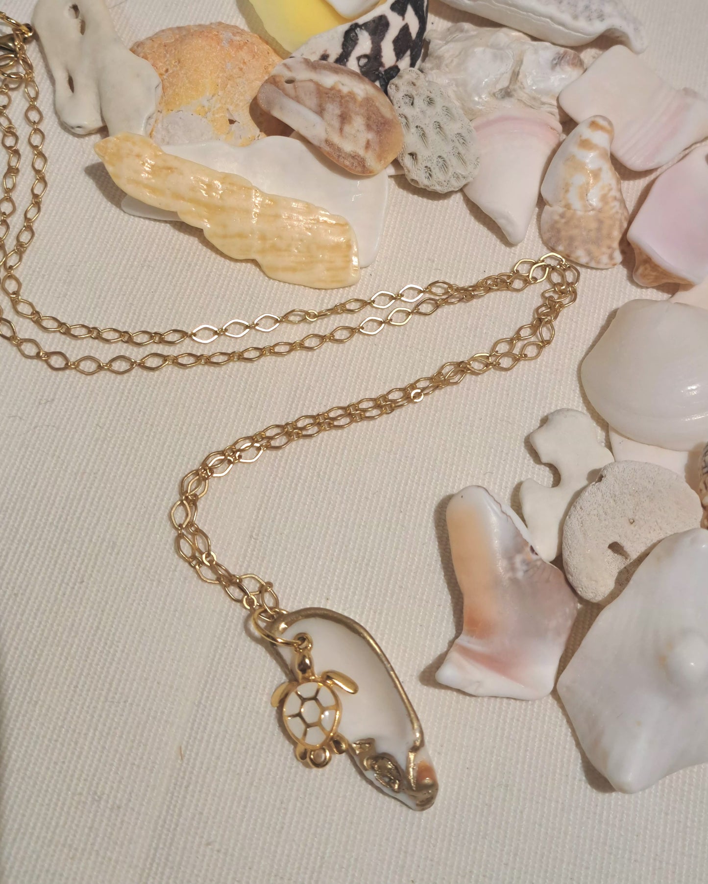 Cayman Island Sea shell with gold painted trim and enamel sea turtle charm on 20" horse eye gold chain